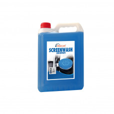 RUITENSPROEIER ANTIVRIES 5 LTR CONCENTRAAT