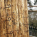 GALLAGHER AFSTANDISOLATOR KRULSTAART HOUT 17,5CM TERRA (10STUKS) GALLAGHER AFSTANDISOLATOR KRULSTAART HOUT 17,5CM TERRA (10STUKS)