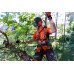 HUSQVARNA T535I XP KETTINGZAAG 30CM (EXCL. ACCU EN LADER)
