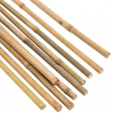 BAMBOESTOK 120CMX10-12 (5 STUKS)