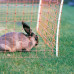 KONIJNEN-/HOBBYNET, ORANJE 65/1-15/G-50M