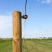 GALLAGHER XDI SCHROEF-RINGISOLATOR HOUT (250 STUKS)