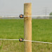 GALLAGHER XDI SCHROEF-RINGISOLATOR HOUT (125 STUKS)