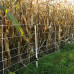 WILDZWIJNENNET, WIT 75/1-14/W-50M