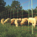 GALLAGHER SCHAPEN COMBINET, ORANJE 90/1-14/G-50M