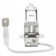 GLOEILAMP 12 V H3 55 W PK22S