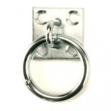 MUURPLAAT MET RING, 8MM, RVS