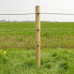 GALLAGHER SCHROEF-RINGISOLATOR BS HOUT KLEIN (125 STUKS)
