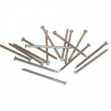 SPIJKER/ RUITKOP BLANK, 1KG 5.0X110