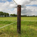 GALLAGHER EQUIFENCE PERMANENTKABEL WIT 7,5MM - 20KG - 250M GALLAGHER EQUIFENCE PERMANENTKABEL WIT 7,5MM - 20KG - 250M