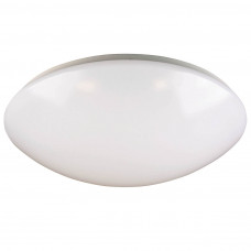 LED PLAFOND/WAND 8W 3000K - Ø 18CM LED PLAFOND/WAND 8W 3000K - Ø 18CM