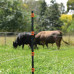 GALLAGHER GEISOLEERDE LINE POST 1,40M (4 STUKS) GALLAGHER GEISOLEERDE LINE POST 1,40M (4 STUKS)