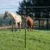 GALLAGHER GEISOLEERDE LINE POST 2,05M (10 STUKS) GALLAGHER GEISOLEERDE LINE POST 2,05M (10 STUKS)